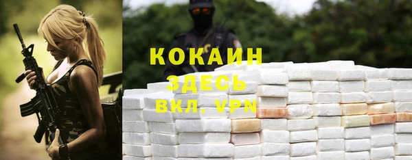 spice Арсеньев