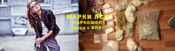 СК Аркадак