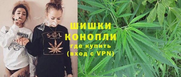 spice Арсеньев