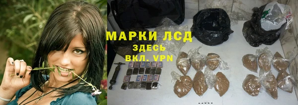 СК Аркадак