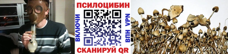 купить наркотики сайты  Фатеж  Псилоцибиновые грибы ЛСД 